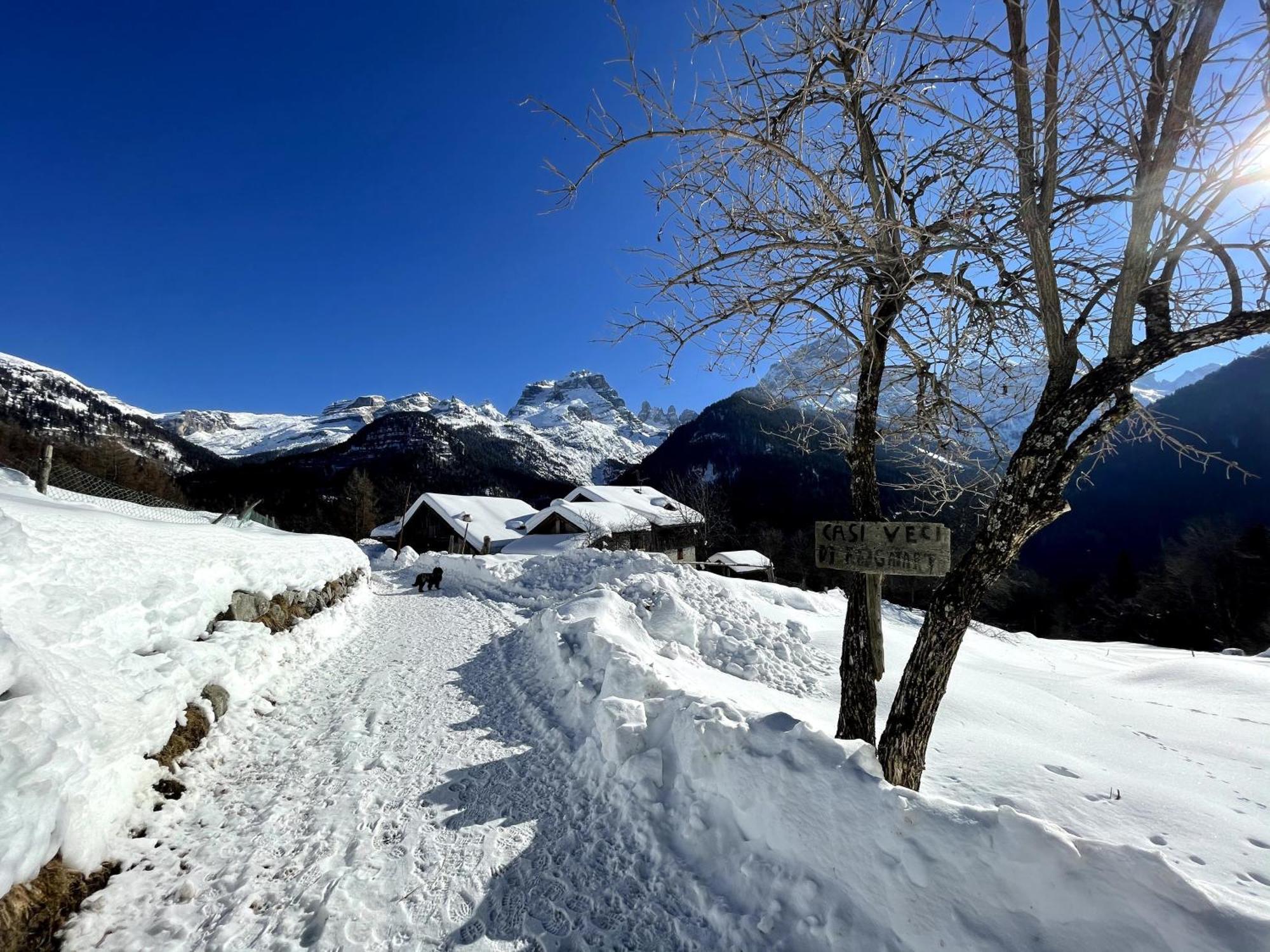 Villa Alpina Campiglio Madonna di Campiglio Ngoại thất bức ảnh