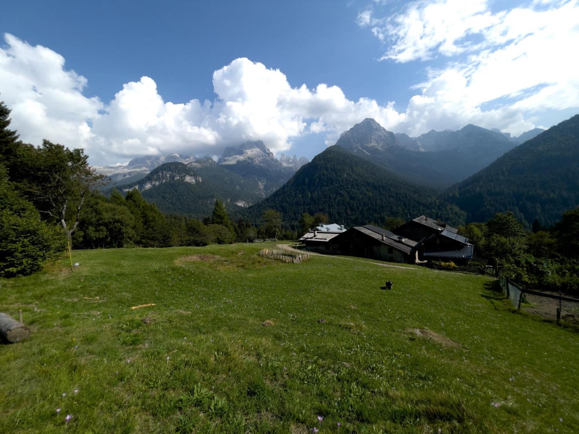 Villa Alpina Campiglio Madonna di Campiglio Ngoại thất bức ảnh