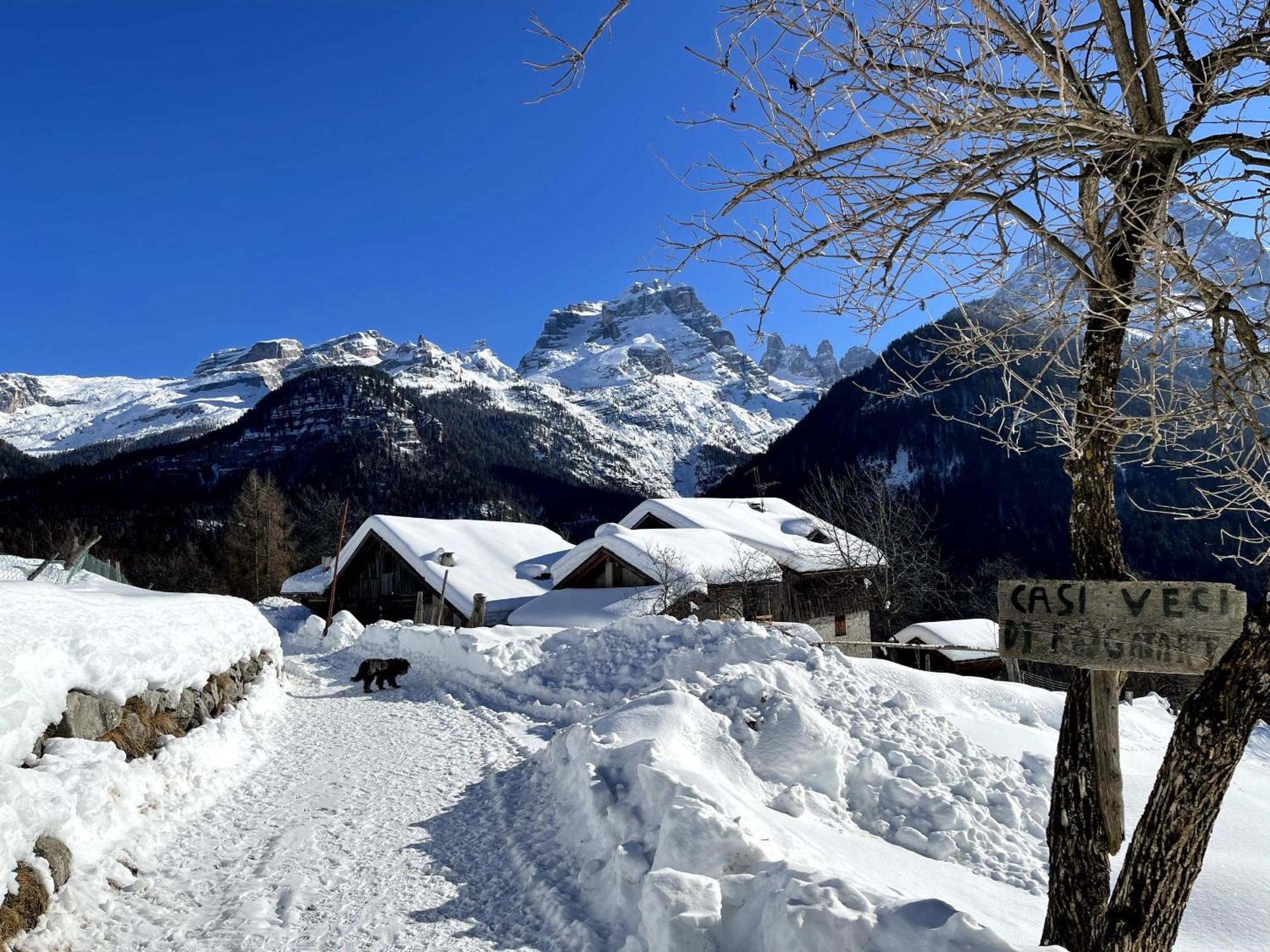 Villa Alpina Campiglio Madonna di Campiglio Ngoại thất bức ảnh