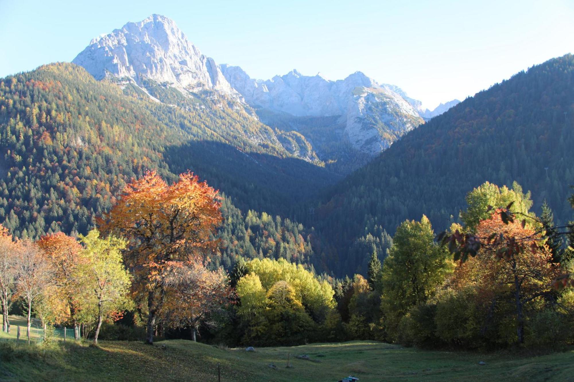 Villa Alpina Campiglio Madonna di Campiglio Ngoại thất bức ảnh