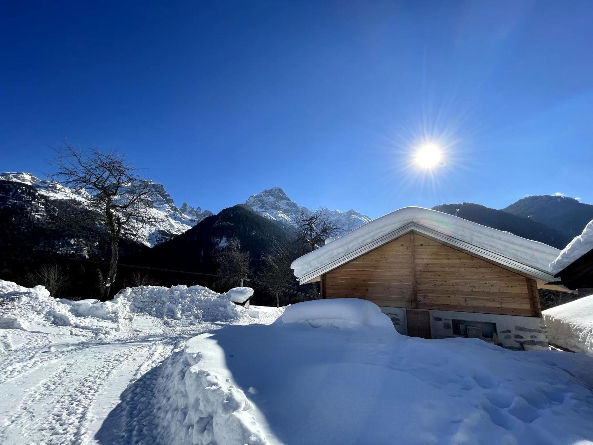 Villa Alpina Campiglio Madonna di Campiglio Ngoại thất bức ảnh