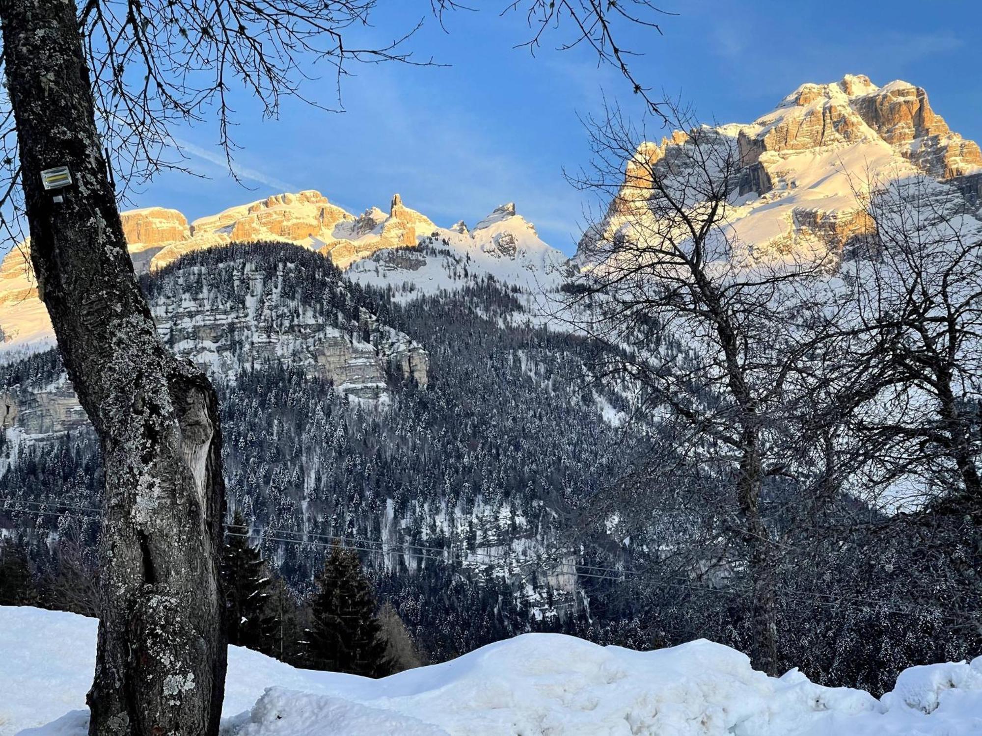 Villa Alpina Campiglio Madonna di Campiglio Ngoại thất bức ảnh