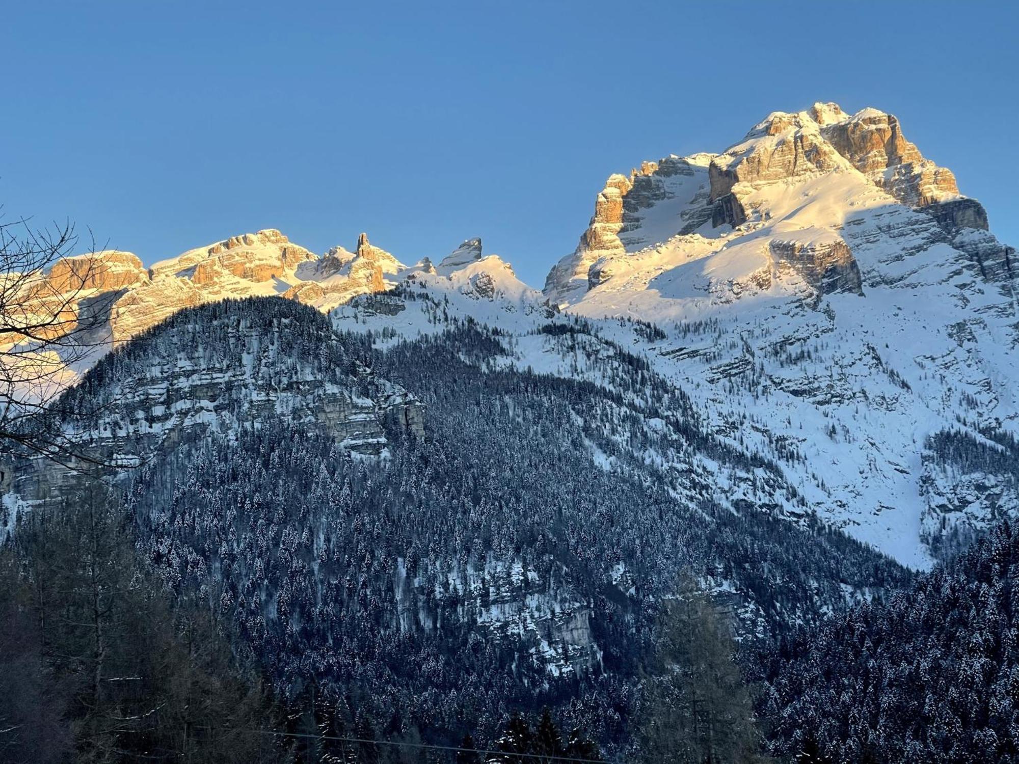 Villa Alpina Campiglio Madonna di Campiglio Ngoại thất bức ảnh