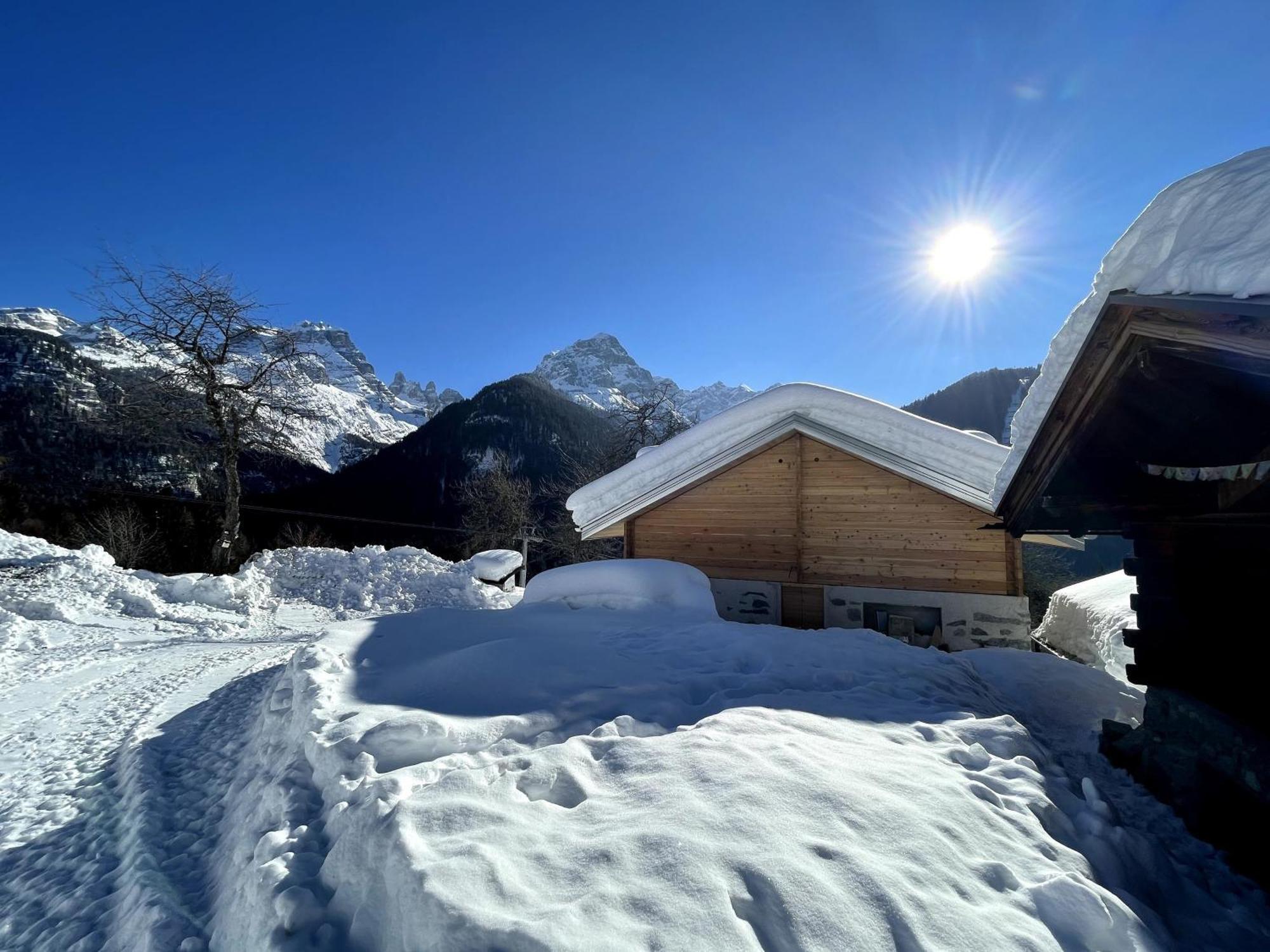 Villa Alpina Campiglio Madonna di Campiglio Ngoại thất bức ảnh